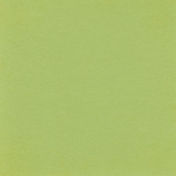 Picnic Day- Light Green 2 Solid Paper