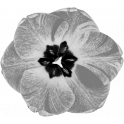 Flower Template 013