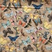 Back To Nature- Brown Butterfly Paper