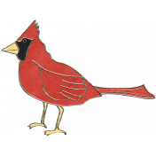 Back To Nature- Cardinal Doodle