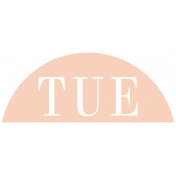 Toolbox Calendar- Date Sticker Kit- Days- Peach Tuesday