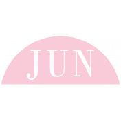 Toolbox Calendar- Date Sticker Kit- Months- Light Pink June