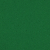 Spring Day- Dark Green Solid Paper