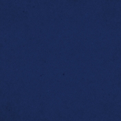 Spring Day- Navy Blue Solid Paper