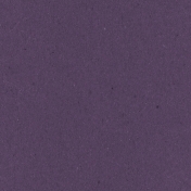 Digital Day- Purple Solid Paper