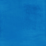 At the Zoo- Blue Solid Paper
