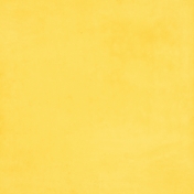 At the Zoo- Yellow Solid Paper