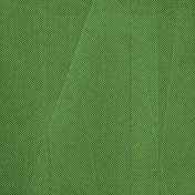 Apple Crisp- Dark Green Stripe 02 Paper