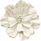 Fresh- White Flower 01