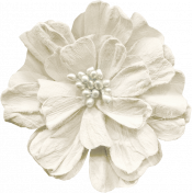 Fresh- White Flower 01