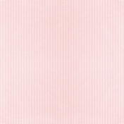 All The Princesses- Pink Stripe Paper