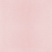 All The Princesses- Pink Netting Paper