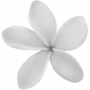 Flower Template 024