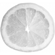 Fruit Template 020