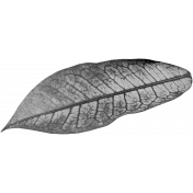 Leaf Template 126