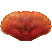 Unwind- Crab Shell