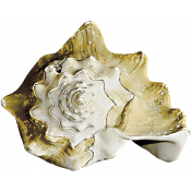 Unwind - Shell 6