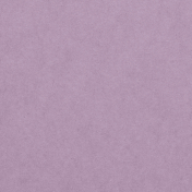 Captured- Light Purple Solid Paper