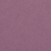 Captured- Purple Solid Paper