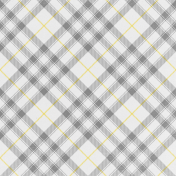 April Showers – White Plaid Paper