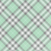 April Showers – Mint Plaid Paper