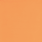 May Flowers- Orange Solid Paper