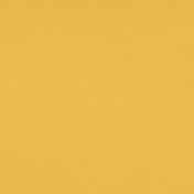 Summer Fun- Dark Yellow Solid Paper