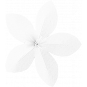 Paper Flower Template 038