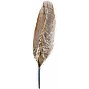 Through Thick & Thin - Feather