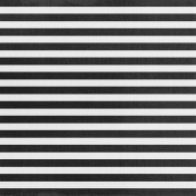 In The Moonlight – Black & White Stripes Paper