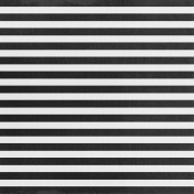 In The Moonlight – Black & White Stripes Paper