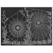 In The Moonlight- Spider Webs Ephemera