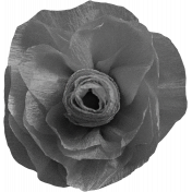 Paper Flower Template 005