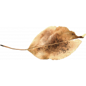 Woodland Winter- Leaf 2