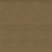 Woodland Winter - Brown Cardboard Paper