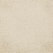 Winter Arabesque- Cream Solid Paper