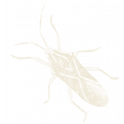 A Bug's World- Bug 12