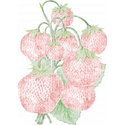 Strawberry Fields- Chalk Strawberry Stamp 08