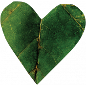 Falling For You- Green Leaf Heart 4