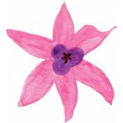 Flower 31