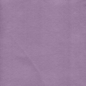 Spring Days- Purple Paper