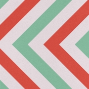 You Can't Buy Love But You Can Rescue It- Mint & Coral Chevron Paper