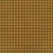 I Dig It! Plaid Paper 2