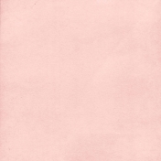 Walk On The Wild Side- Pink Paper