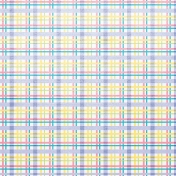 Spring Cleaning- Plaid Paper