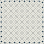 Robbie's Rockin' Red- Star Grid Paper Blue