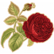 Vintage Red Fussy Cut Rose