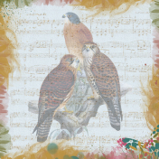 Blended Bird Background #7