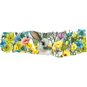 A Bunny Among Wildflowers