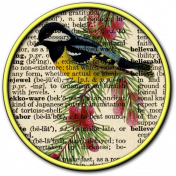 Dictionary Page Flair/w Bird on Branch